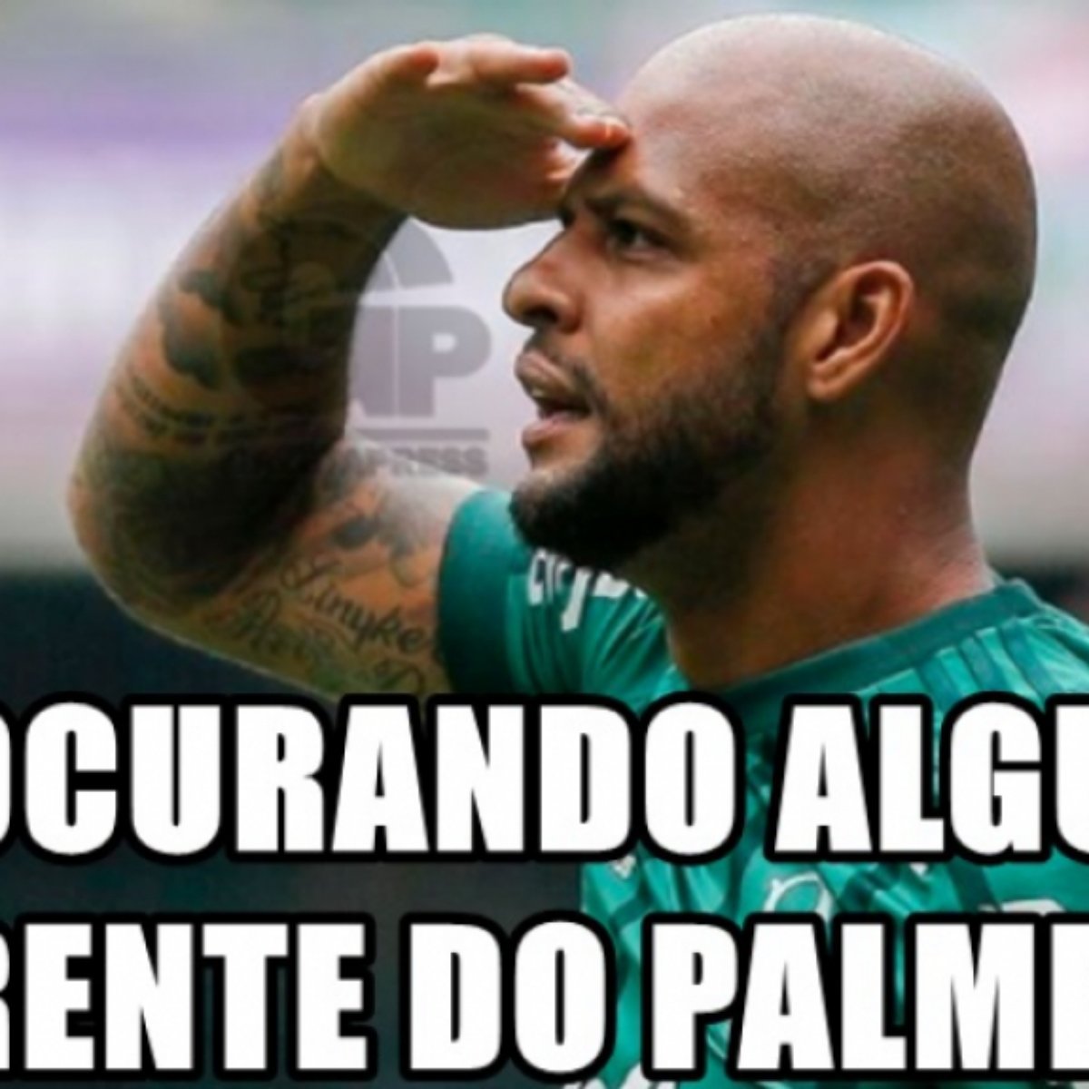 Os Melhores Memes Da Vitoria Do Palmeiras Sobre O Santos