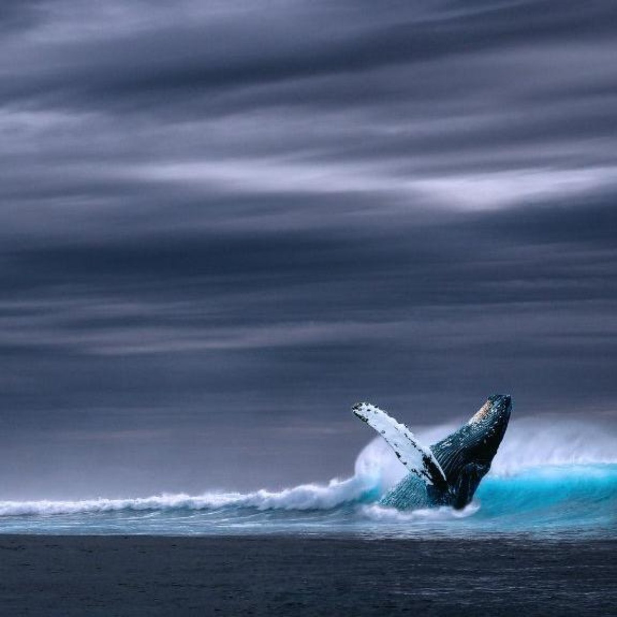 Ucraniana De Apenas 12 Anos Se Suicida Vitima Do Jogo Baleia Azul