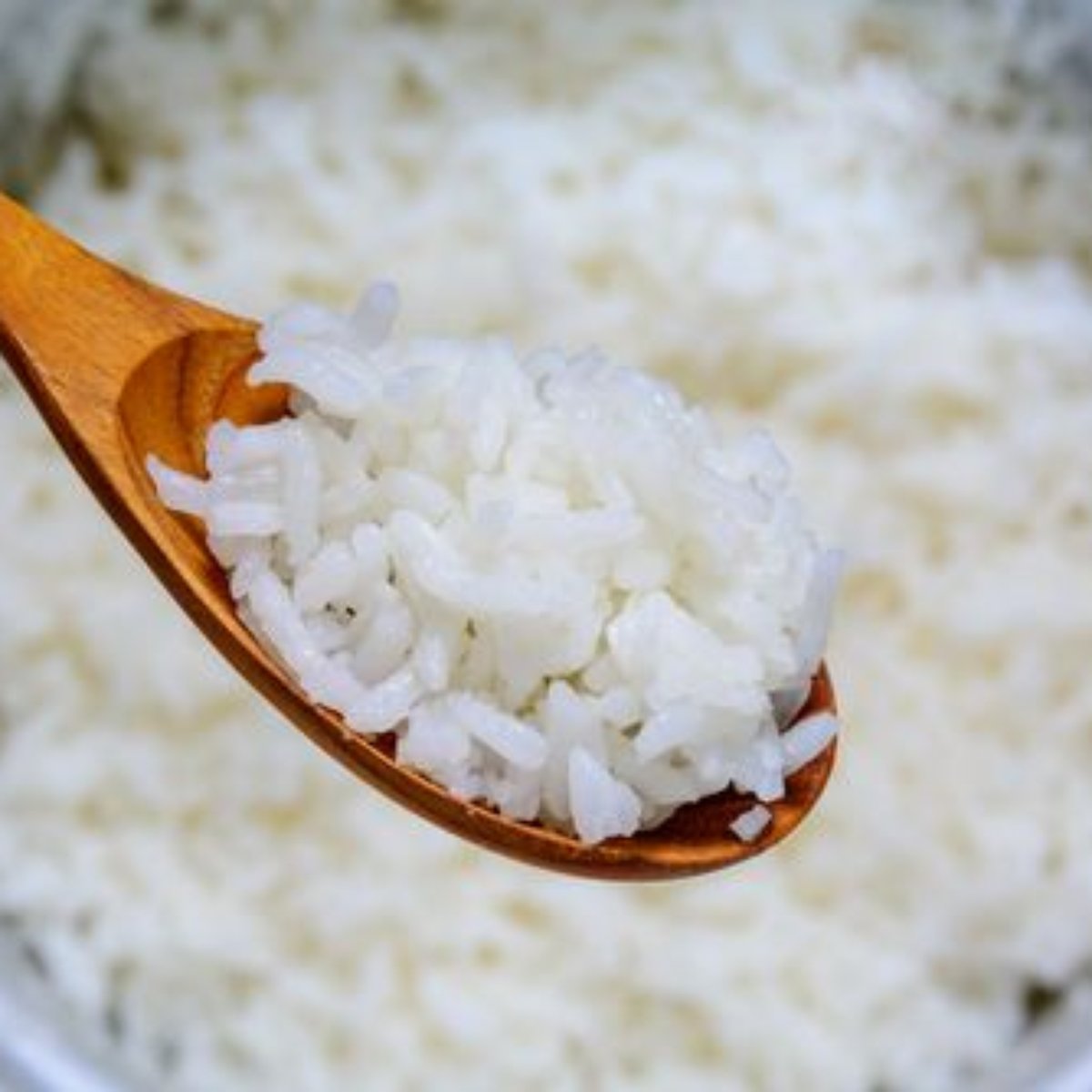 Arroz Parboilizado Serve Para Fazer Risoto Como Congelar E Descongelar O Arroz Confira As Dicas