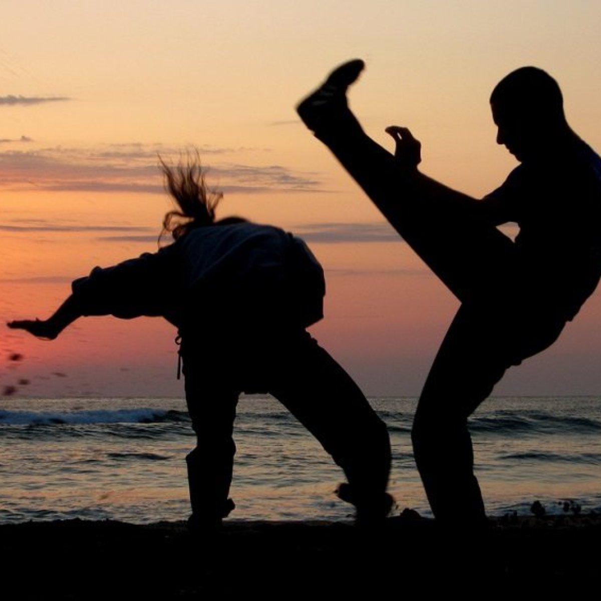 6 Movimentos Basicos Da Capoeira