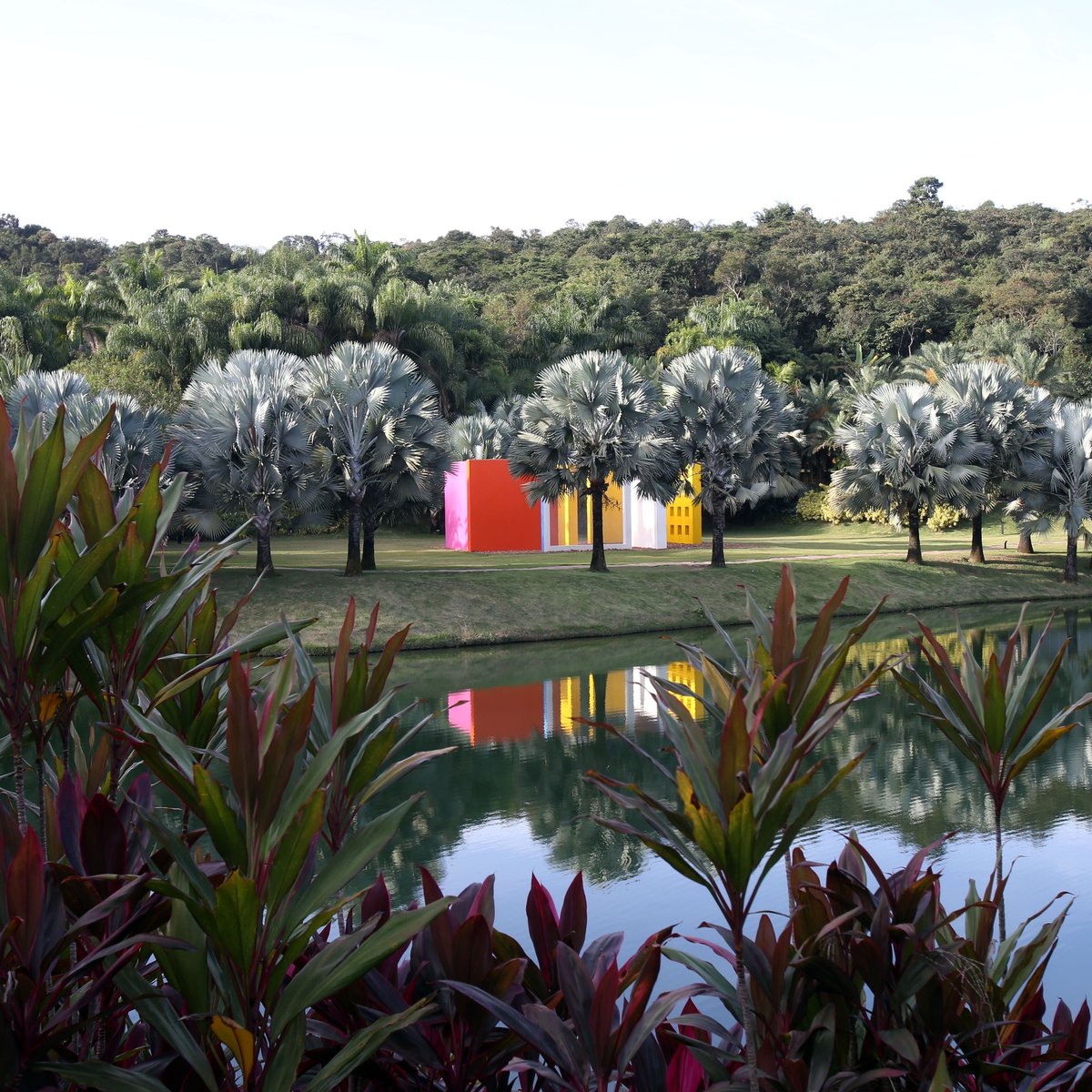 Inhotim Estuda Recuperacao Da Vegetacao Destruida Pela Lama