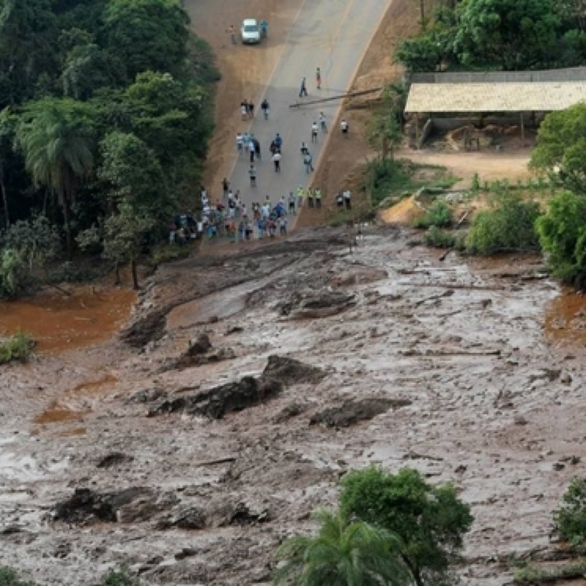 Consequencia Do Desastre De Brumadinho Na Saude Coletiva