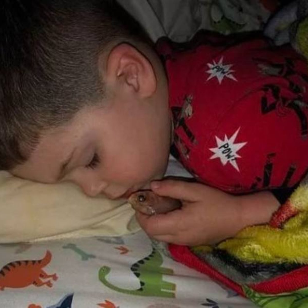 Menino Tira Peixe De Estimacao Do Aquario Para Dormir Com Ele Na Cama