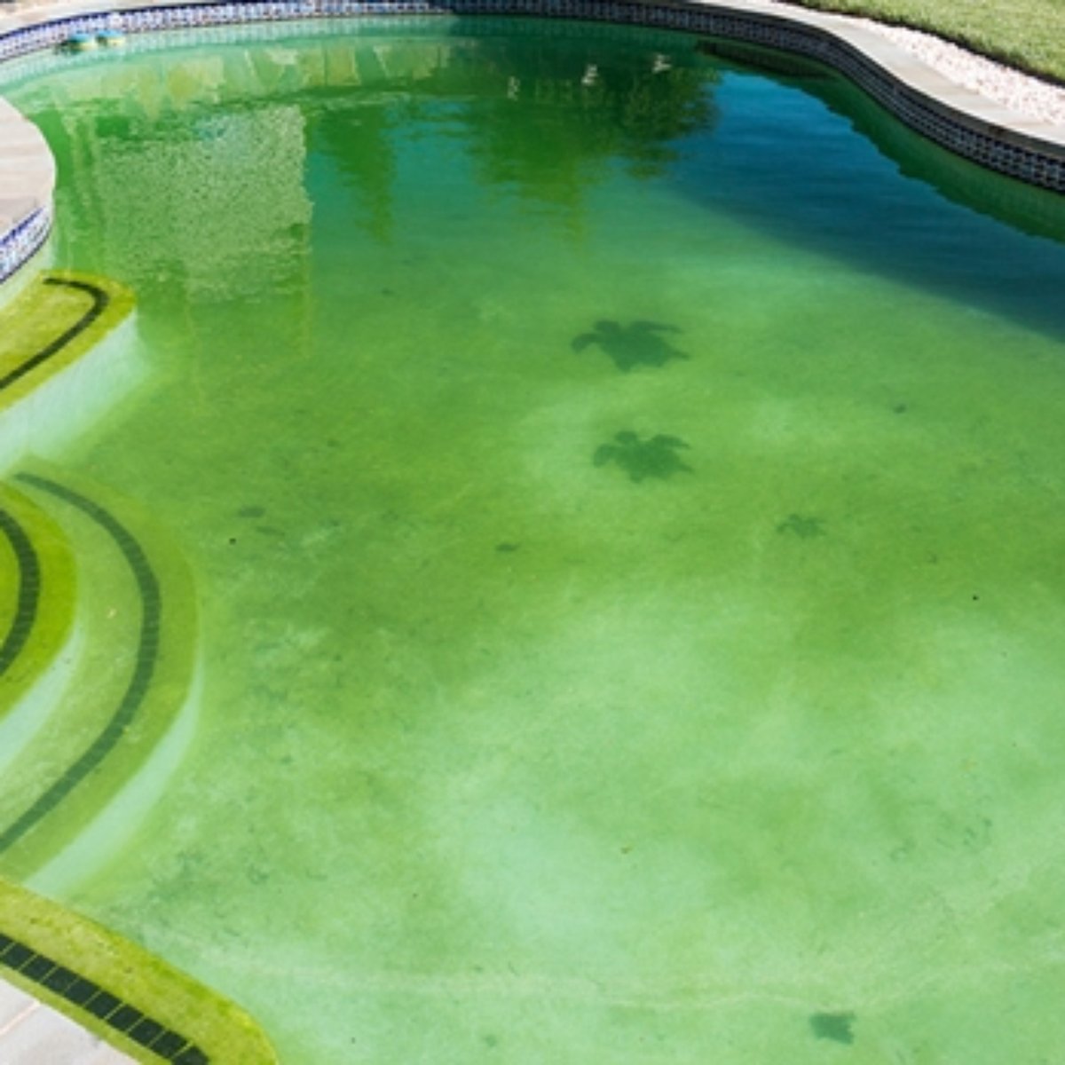 Nao Deixe A Agua Da Piscina Ficar Verde Confira Alguns Cuidados Para Manter A Agua Limpa No Inverno