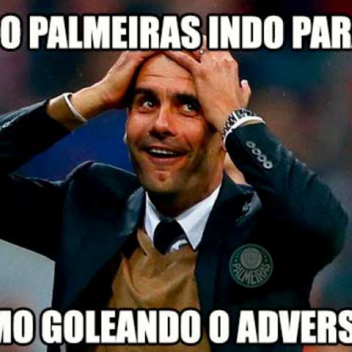 Veja Os Memes Da Goleada Do Palmeiras Sobre O Csa
