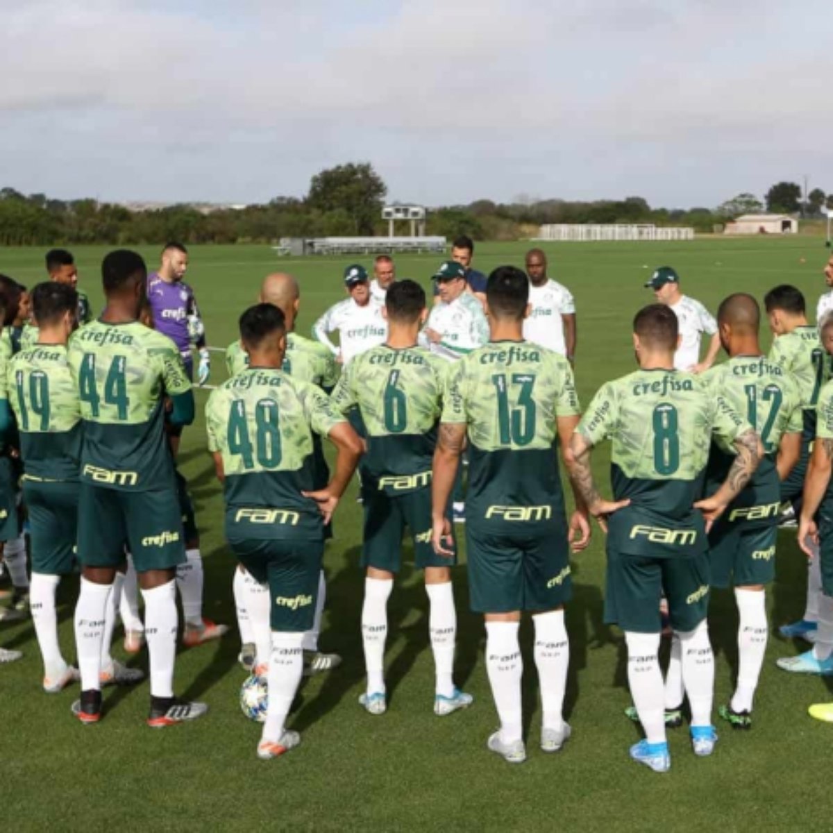 Uniforme de treino do palmeiras