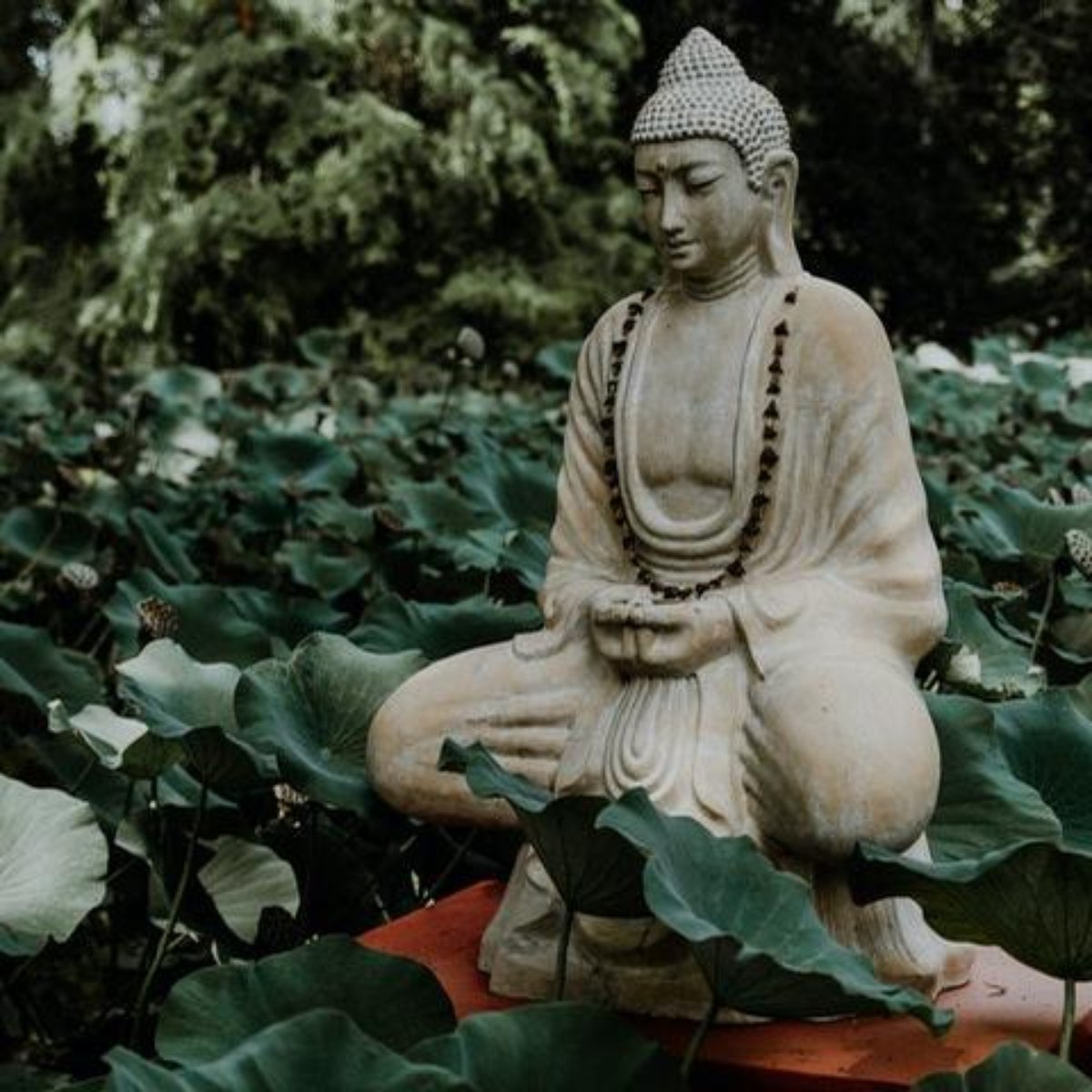 7 ensinamentos de Buda para ter uma vida mais leve e tranquila