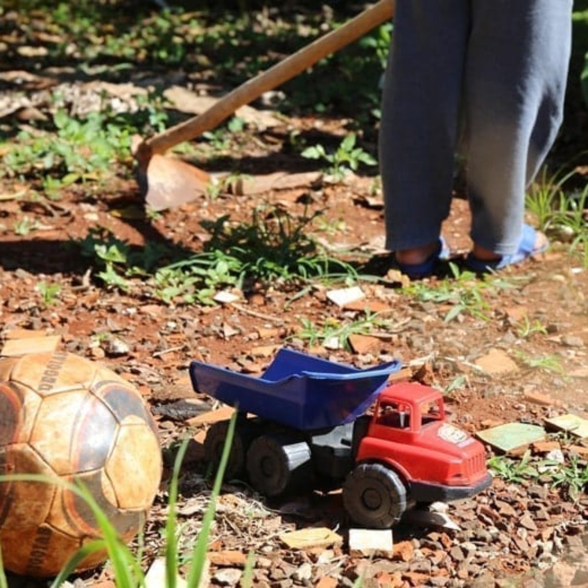 Trabalho Infantil E Crime Entenda Os Principais Tipos E Como Denunciar