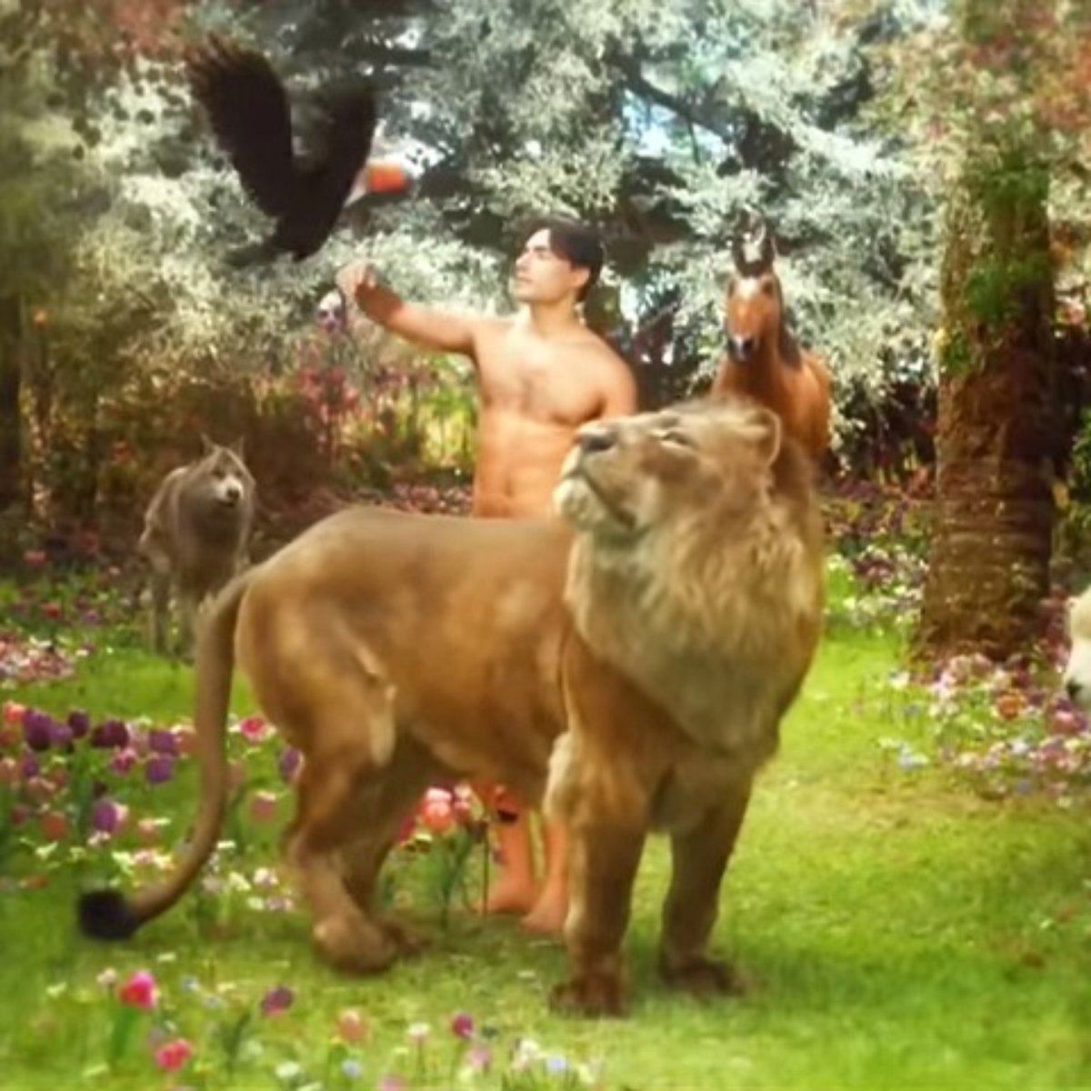 Genesis Mostra Potencial Para Ser Novo Fenomeno Da Record