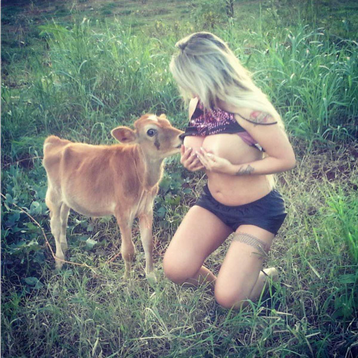 Animal mamando em mulher