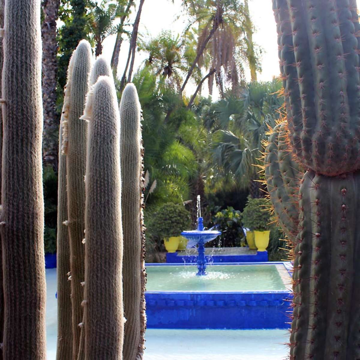 Mundial de Clubes: conheça o Jardin Majorelle em Marrakech