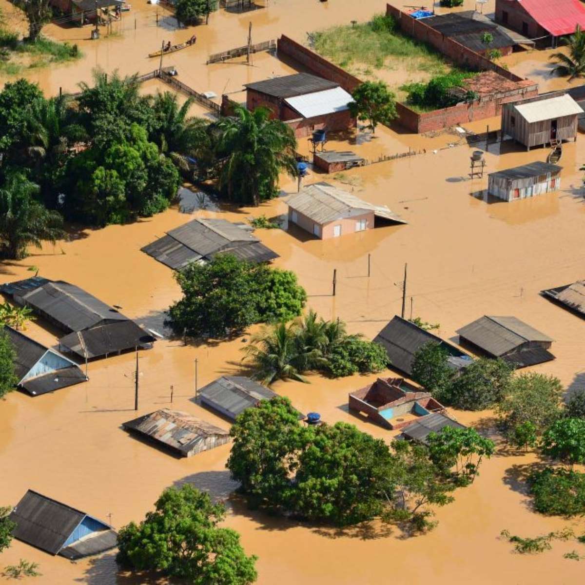 Como ajudar o Acre: inundação deixa milhares sem casa