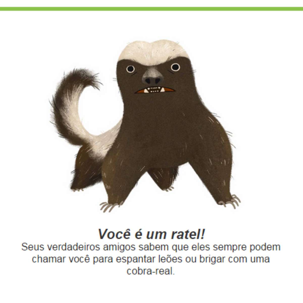 Questionário do Dia da Terra 2015: Google descobre 'que bicho você