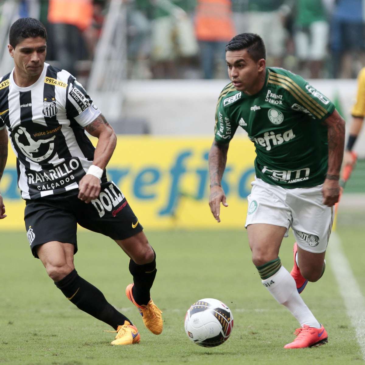 Clássico entre Santos e Palmeiras pelo Brasileirão Feminino terá entrada  gratuita na Vila - Gazeta Esportiva