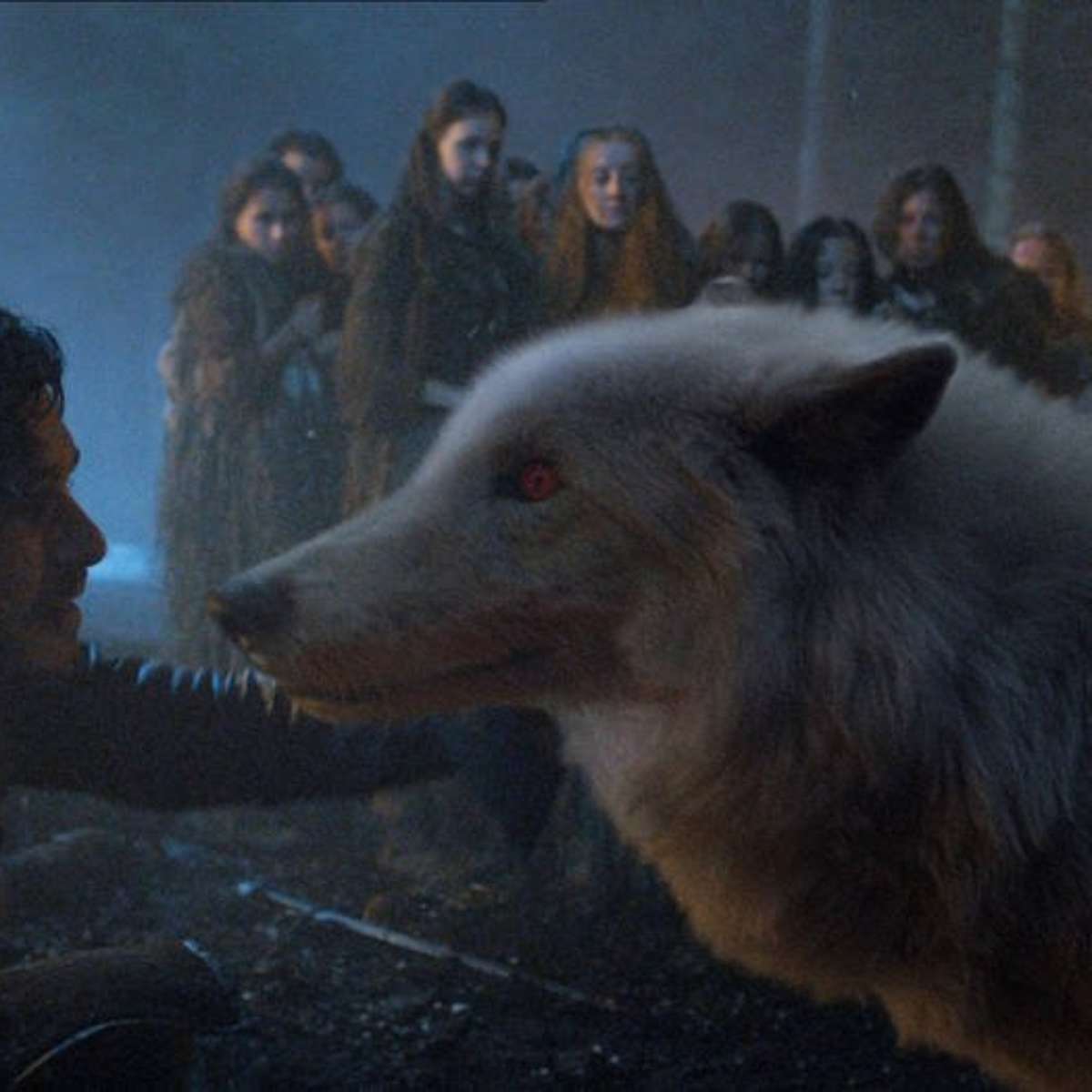 11 memes de 'Game of Thrones' que vão melhorar o seu dia - Revista