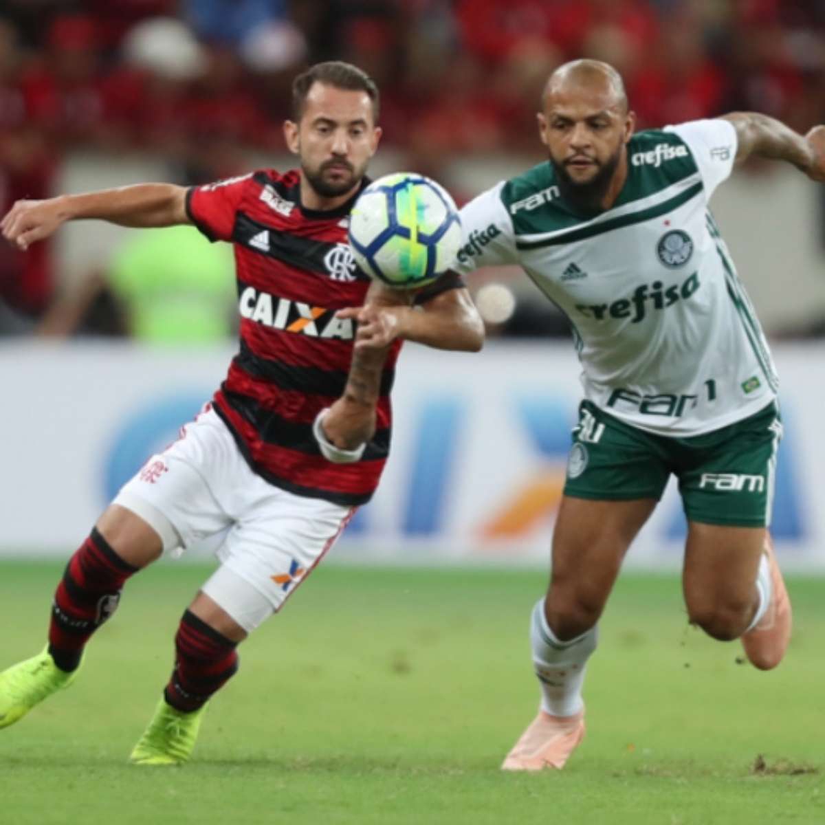 Flamengo x Palmeiras: onde assistir, horário, palpites e prováveis  escalações - Jogada - Diário do Nordeste