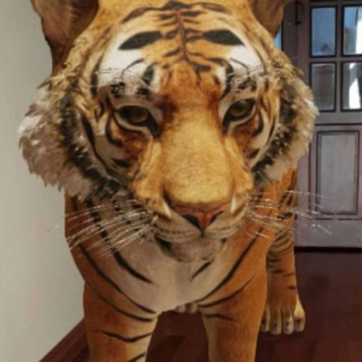 Animals 3D, Google 3D Animals on android
