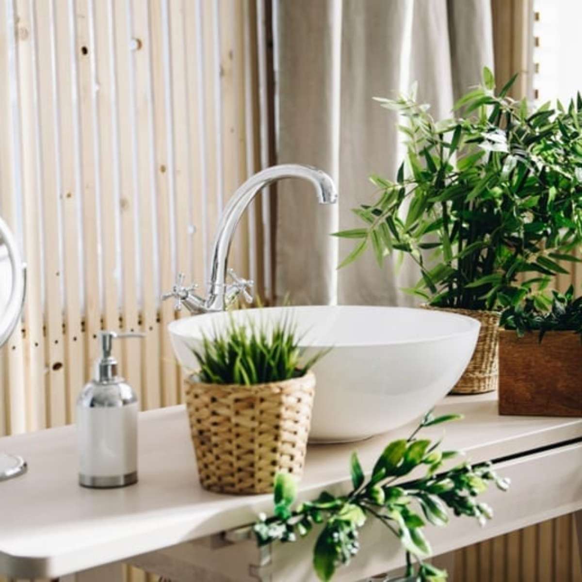 8 plantas perfeitas para decorar o seu banheiro e purificar o ar