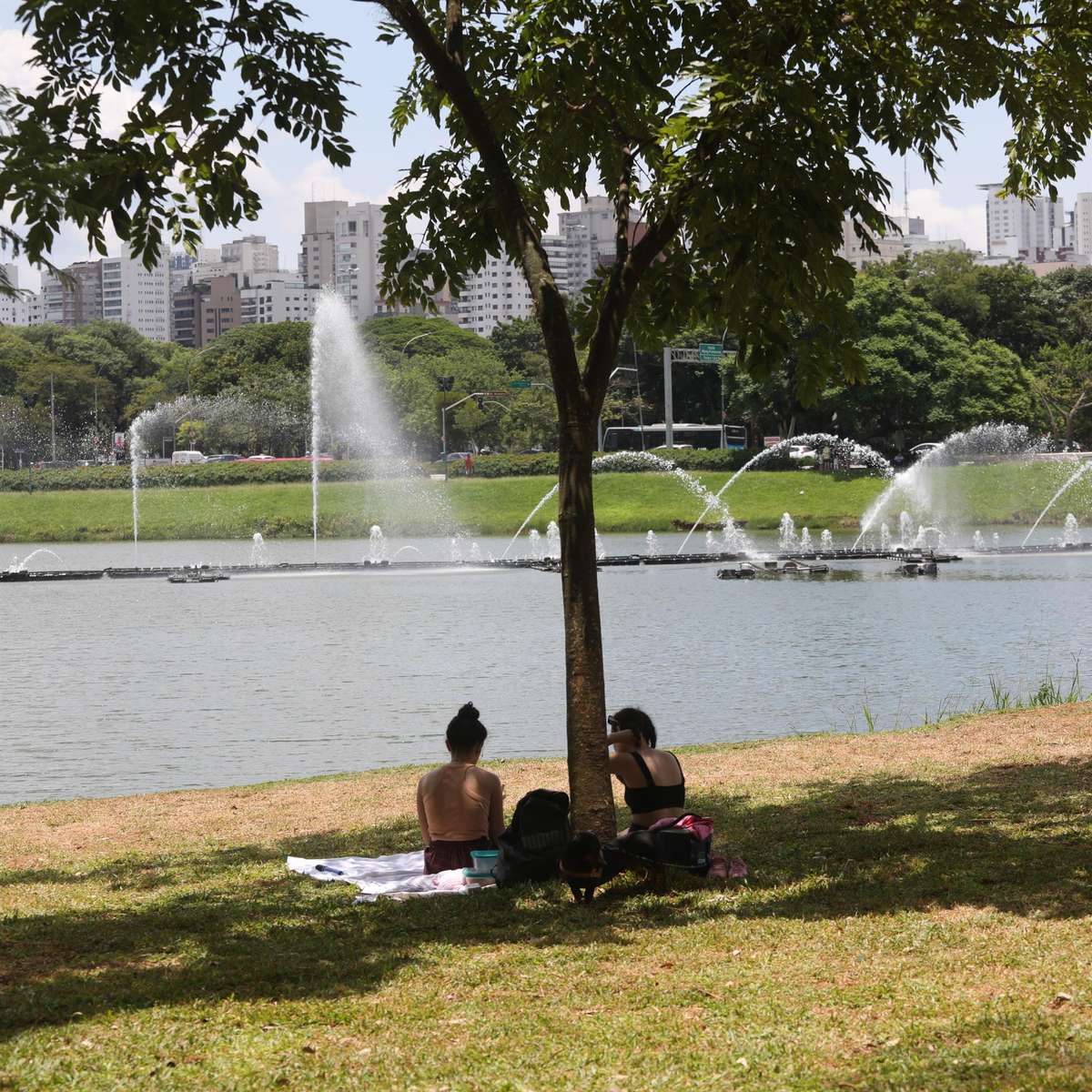 Bom Dia Brasil, Frente fria provoca chuva na Bahia e no Espírito Santo. Em  São Paulo pode garoar