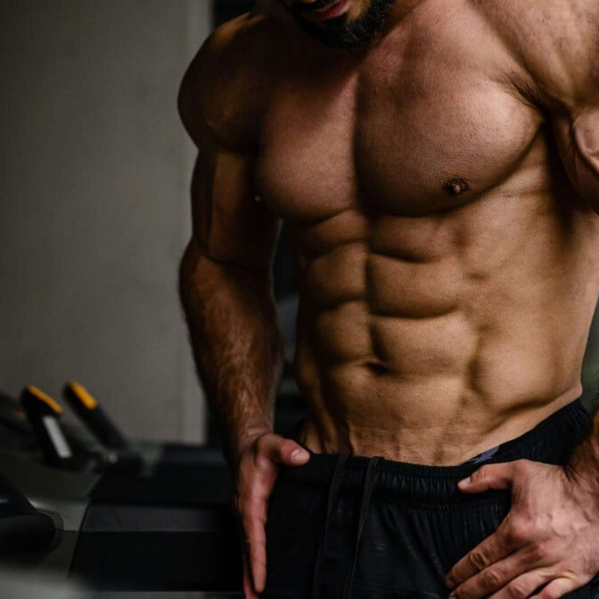 Cutting e bulking: o ciclo para ganhar massa muscular sem