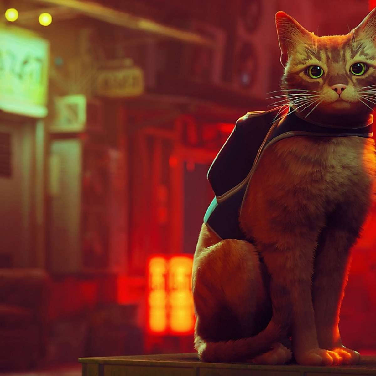 Jogo do Gato, Stray será lançado no PS Plus Extra em julho