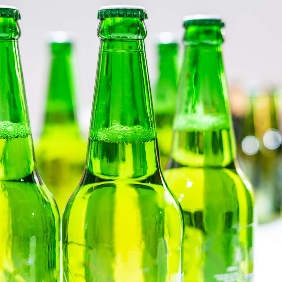 A Heineken realmente engorda menos do que outras cervejas?