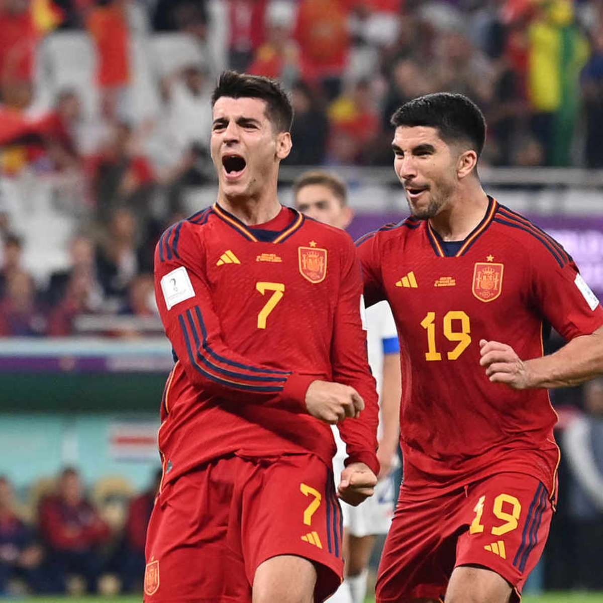 Palpite: Marrocos x Espanha - pela Copa do Mundo do Catar