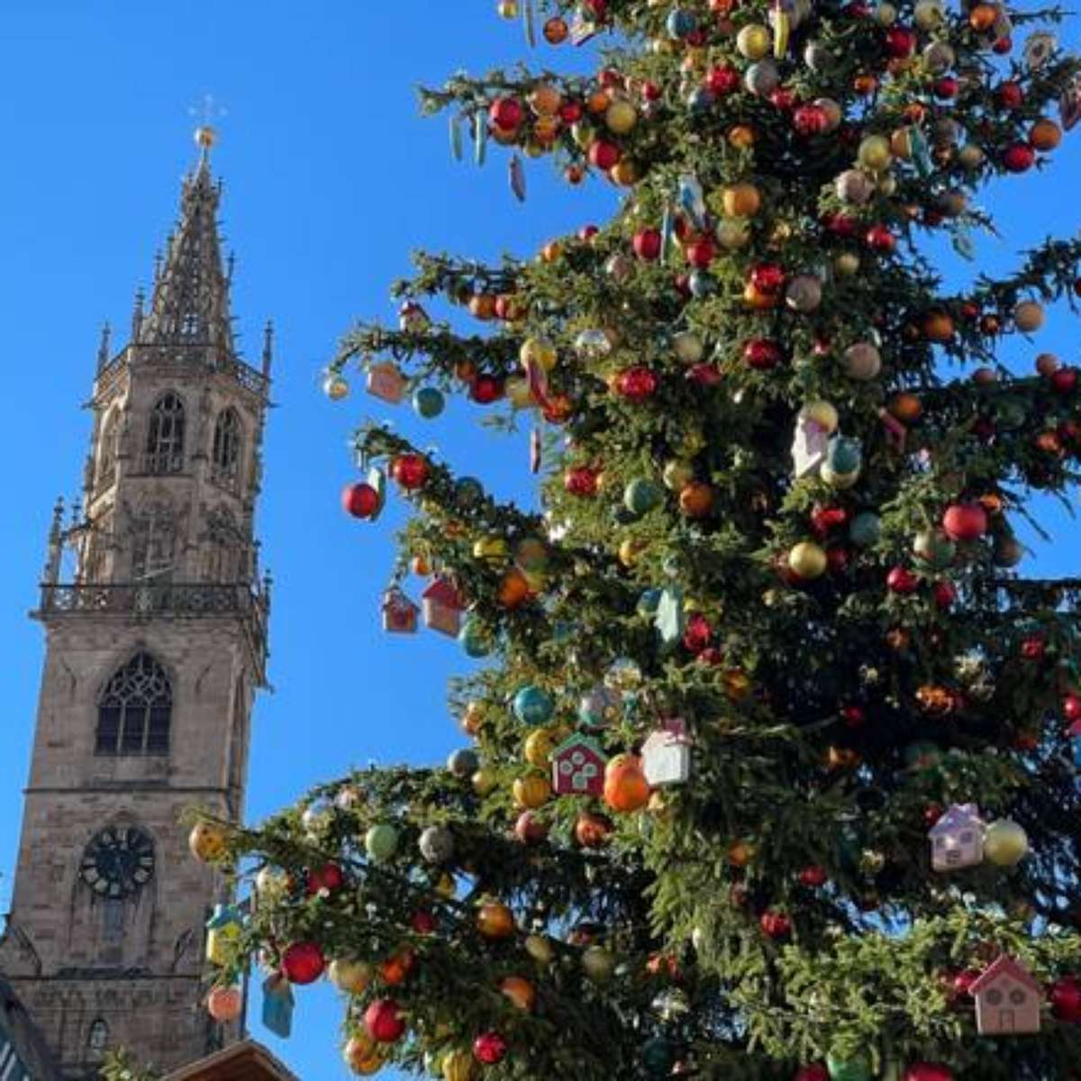 Mercado de Natal de Bolzano é aberto ao público