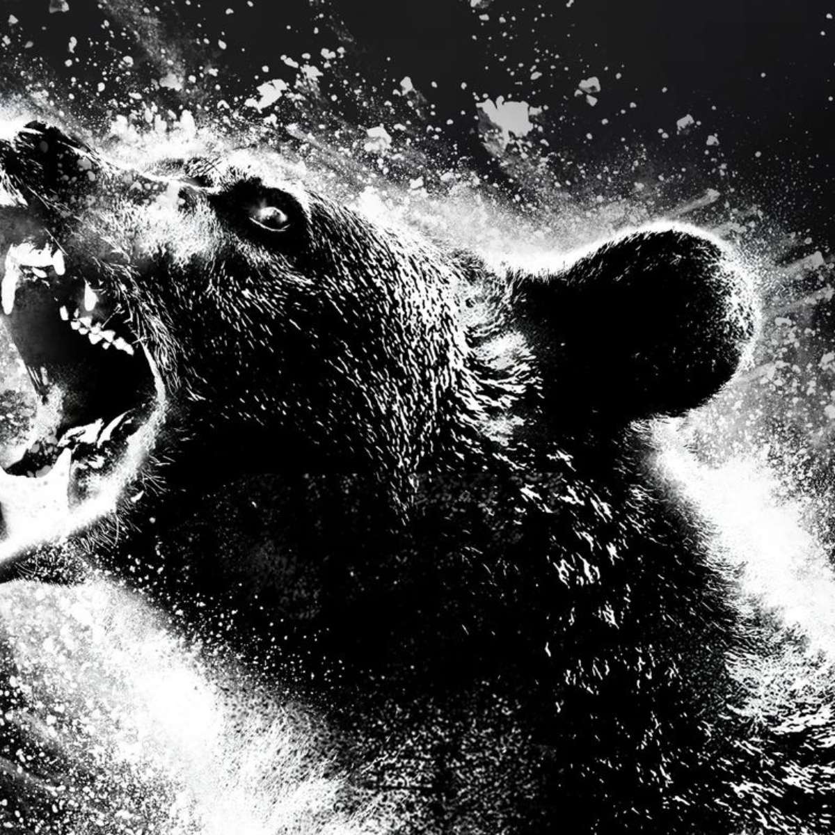 URSO DO PÓ BRANCO: Saiba quando lança o filme do urso que comeu