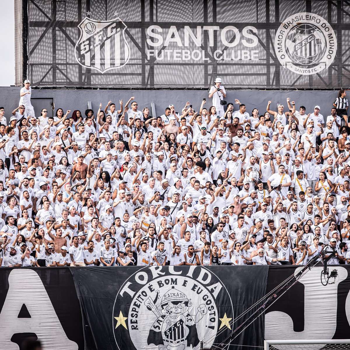 Santos arranca empate no fim contra o Botafogo - Jornal do Ônibus