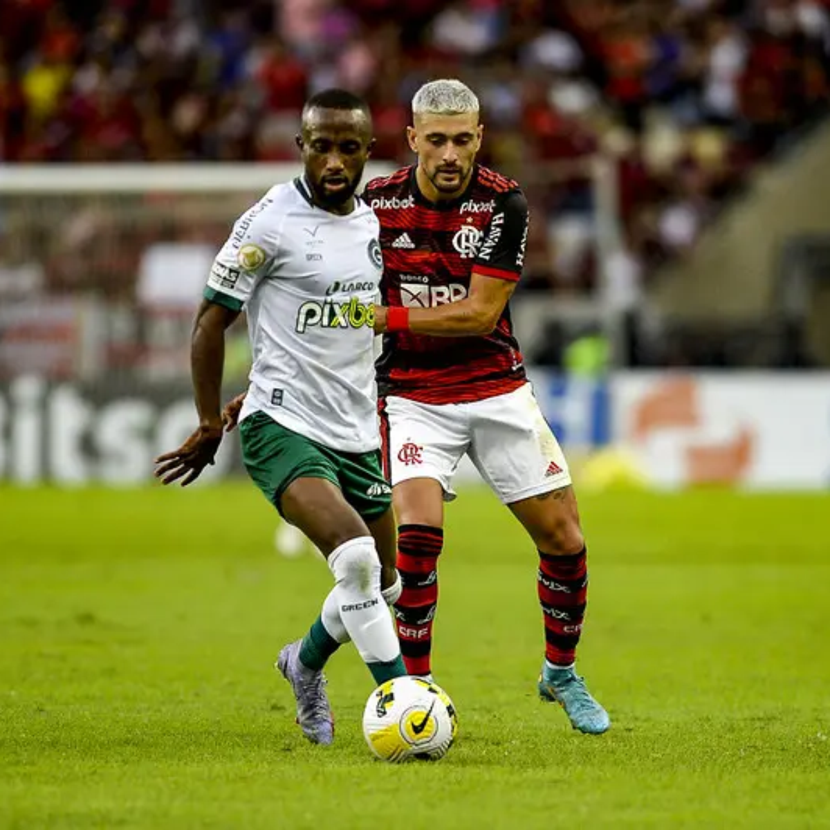 Flamengo x Goiás: onde assistir ao jogo do Brasileirão