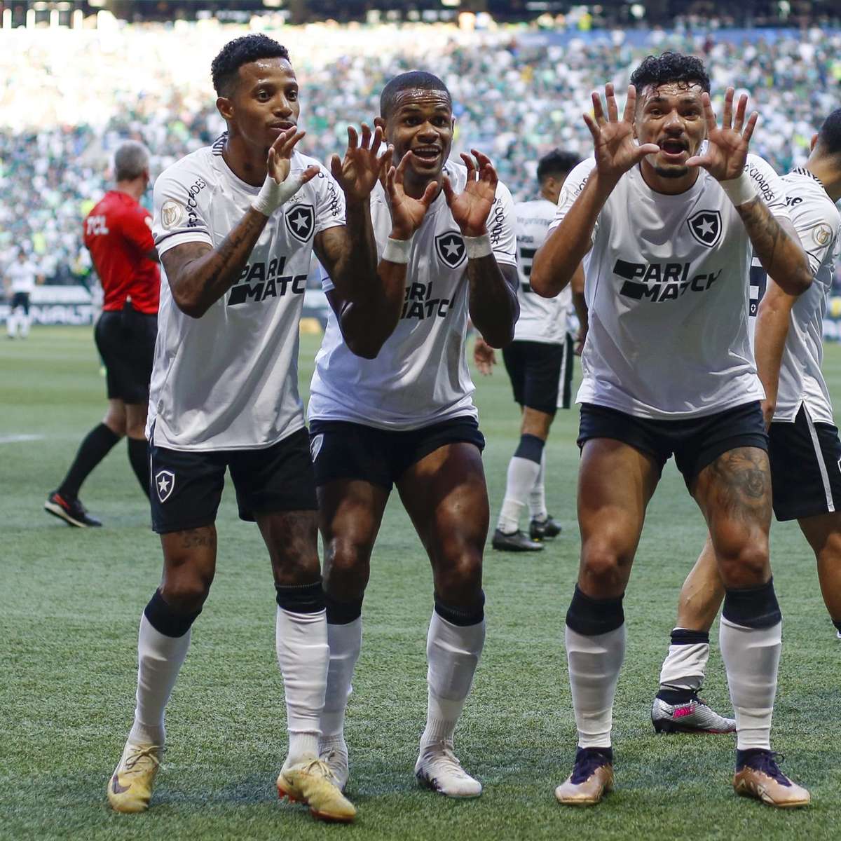 Botafogo empata com Fortaleza e deixa a liderança do Brasileirão com o  Palmeiras - Esportes - R7 Futebol