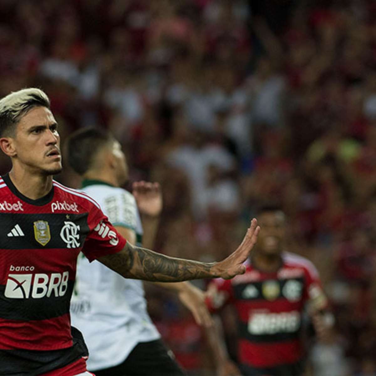 Confira o calendário de jogos do Flamengo em maio; veja dias e horários -  Jogada - Diário do Nordeste