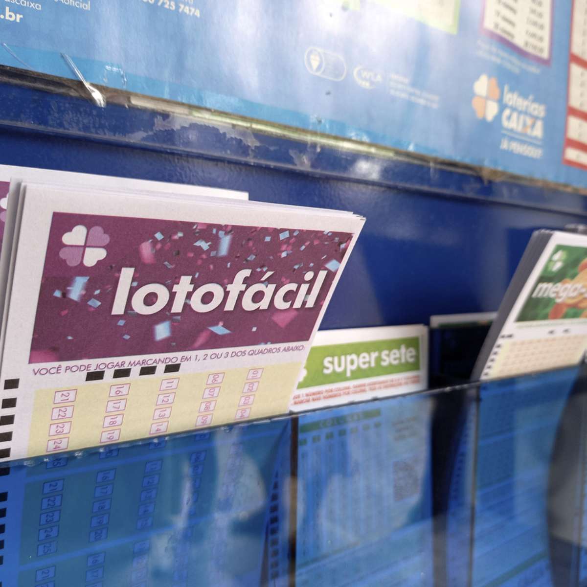 Entenda como funciona o bolão das loterias da Caixa, Loterias