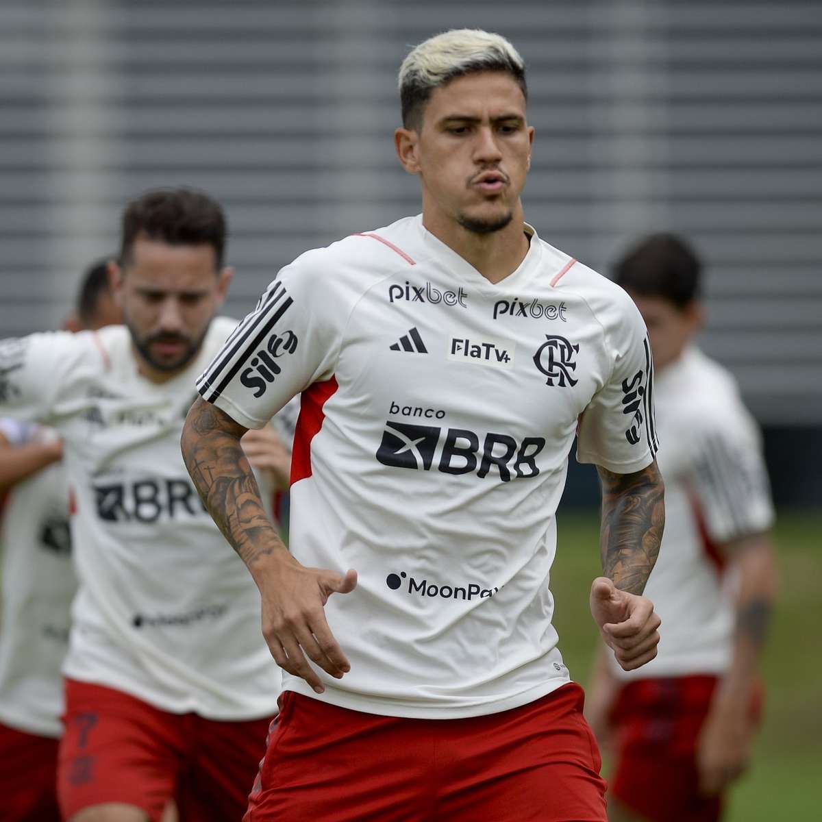 Atacante quer Santos na Libertadores e acredita em permanência de Sampaoli  