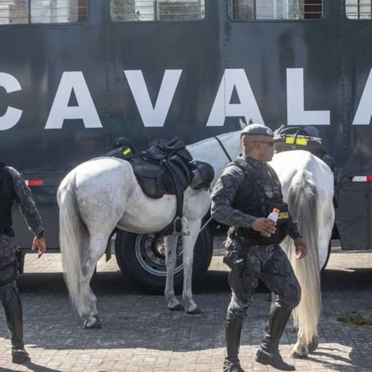 Conheça um pouco mais sobre a Cavalaria da Polícia Militar - SSP