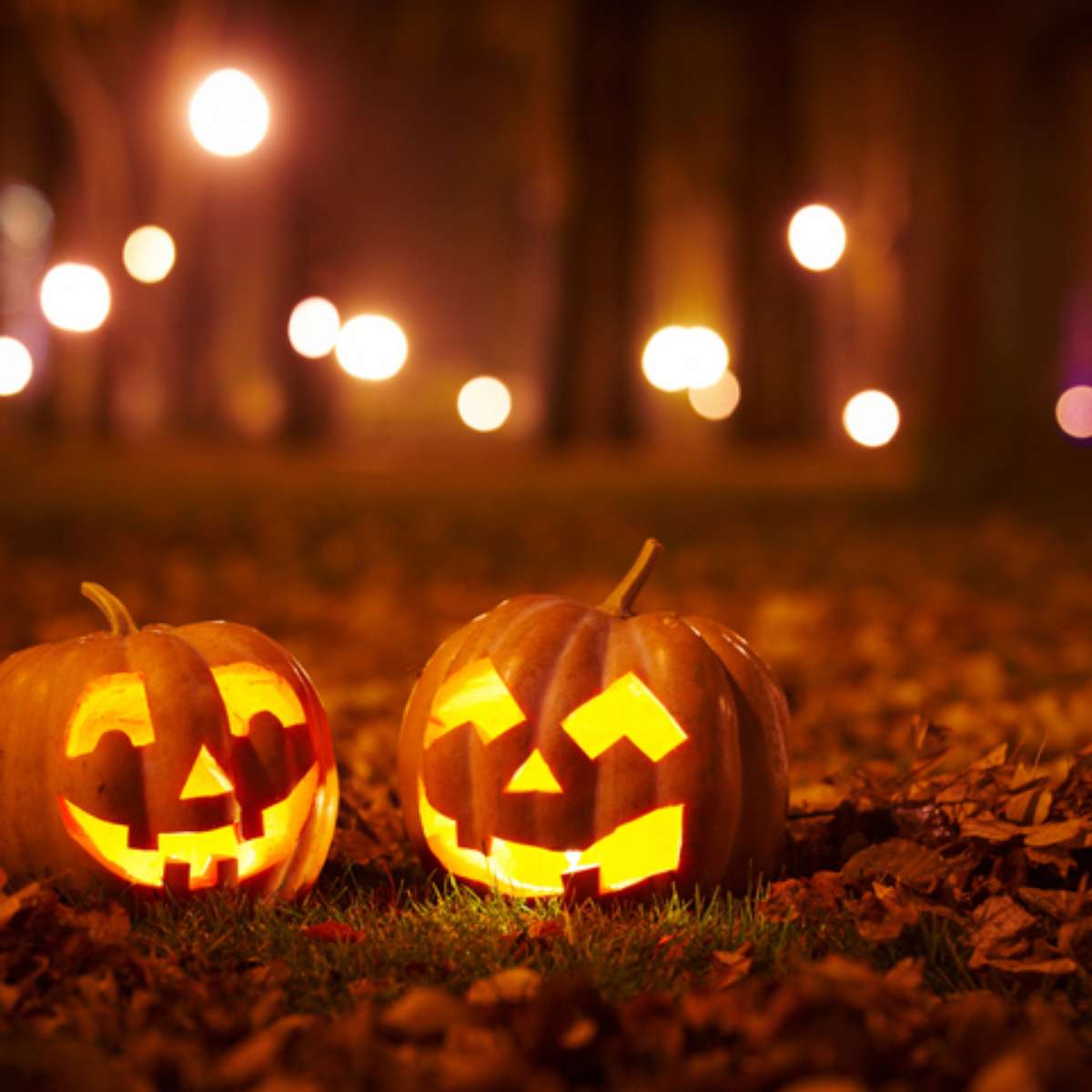 Halloween – Tudo sobre o Dia das Bruxas para a escola