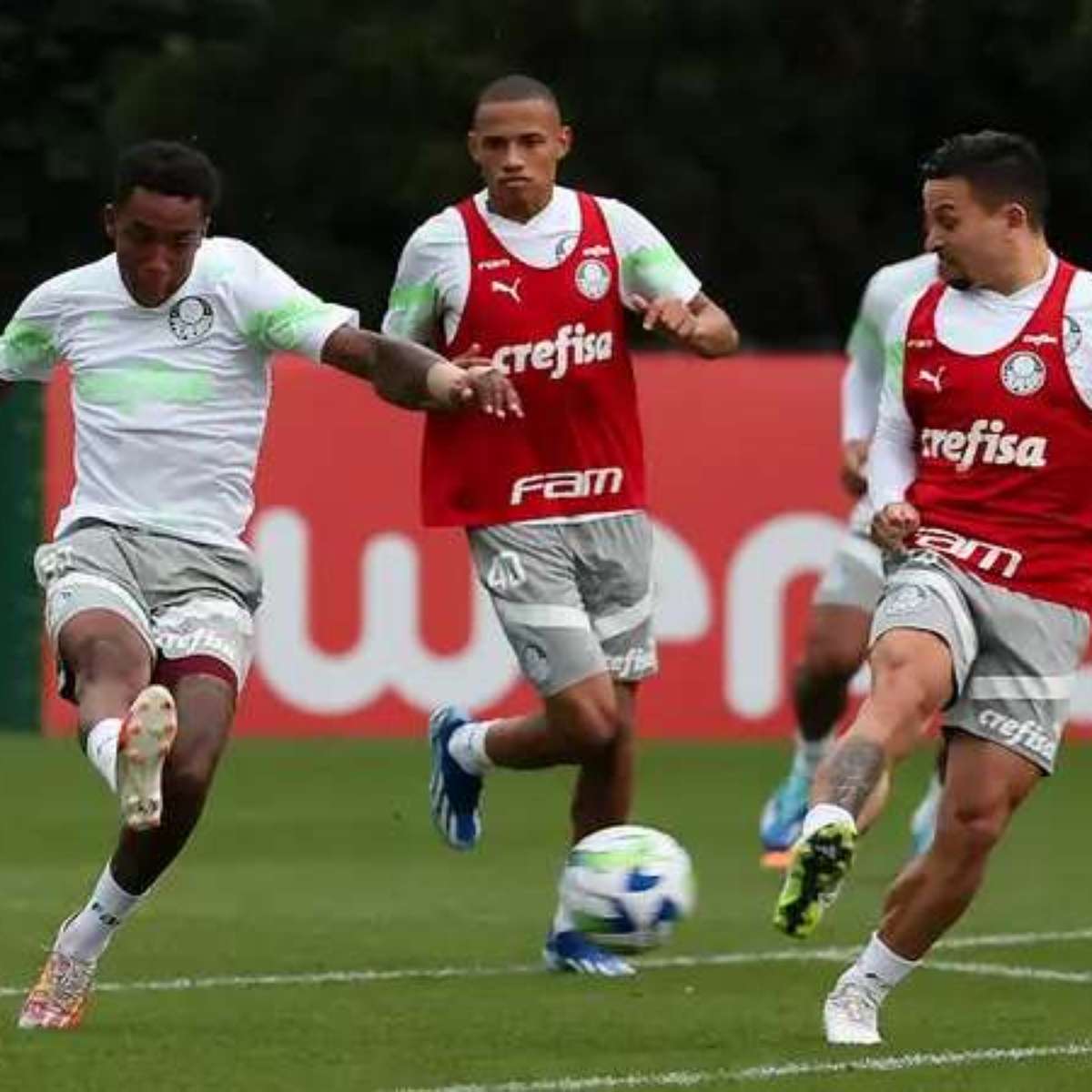 Em dia de folga, sete jogadores do Palmeiras aparecem na Academia - ISTOÉ  Independente
