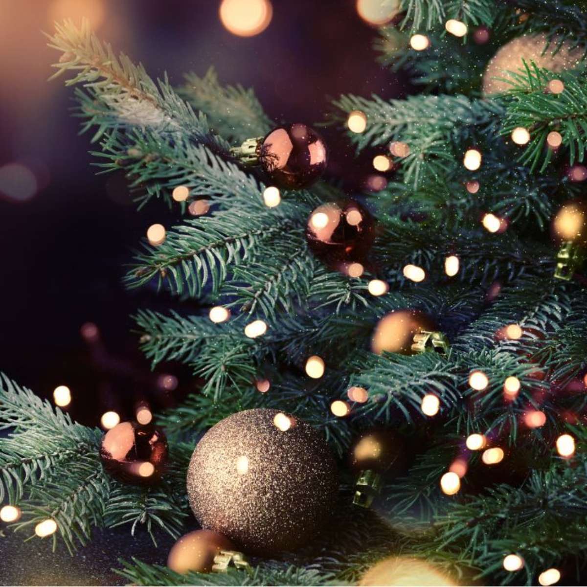 Qual o dia certo para montar a árvore de Natal em 2023? - NSC Total