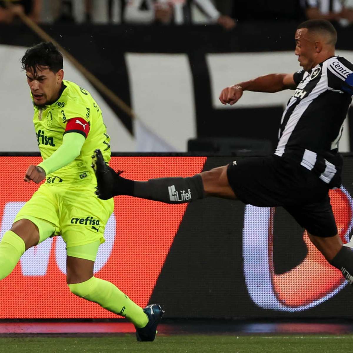 Com empate do Palmeiras, Botafogo nem precisa entrar em campo para