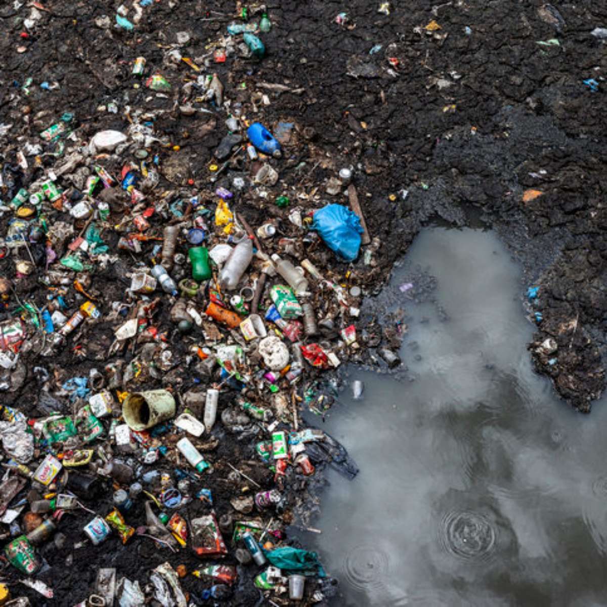 Contaminação Do Solo