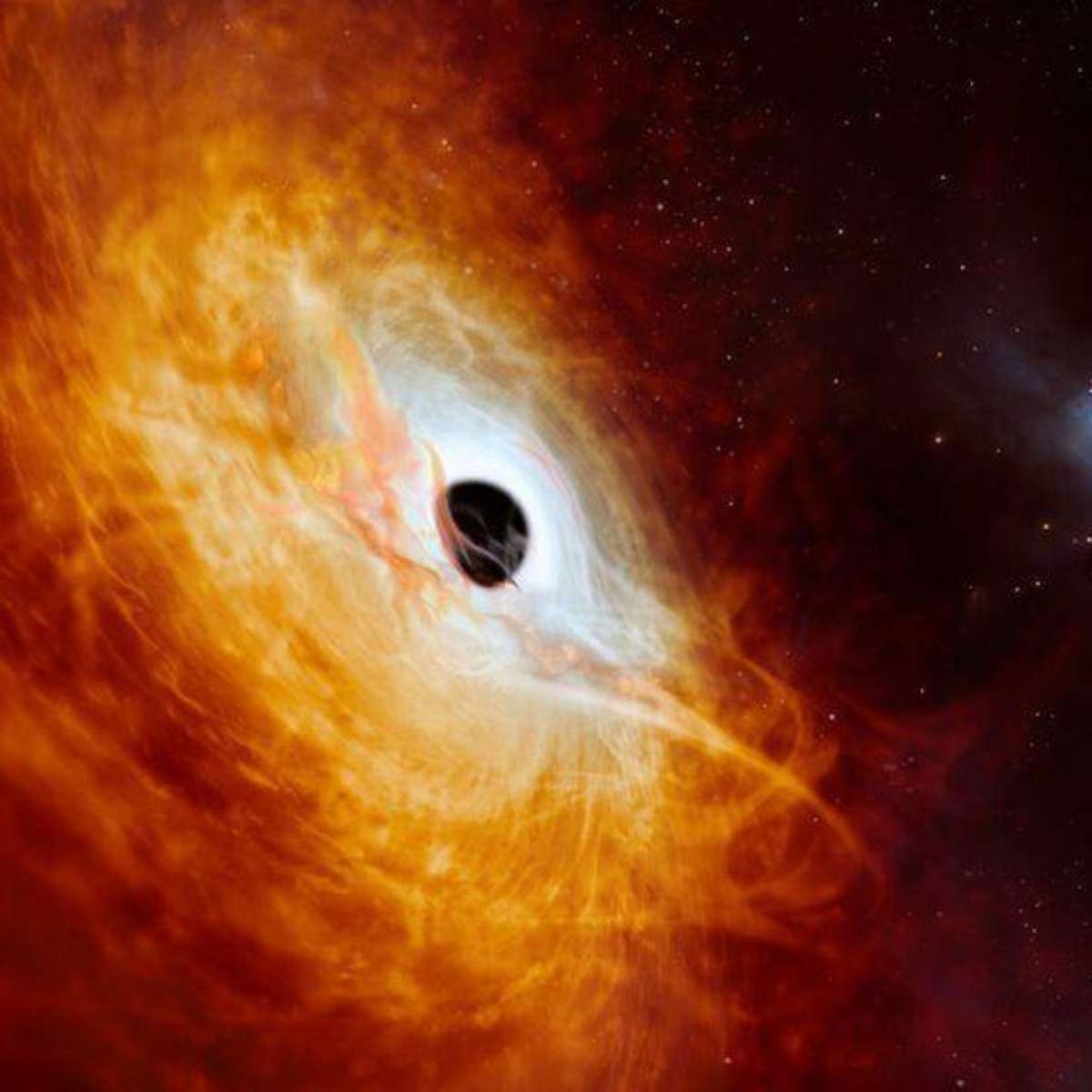95年 WA産 BLACK HOLE OF WATTS Black Hole Of Watts – Black Hole Of Watts – CD (Album, Limited
