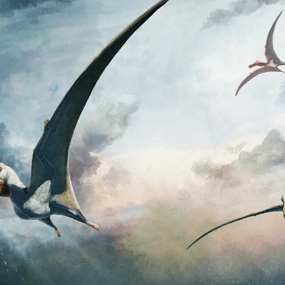 Periodo Cretaceo De Pterodactilos Voadores Quetzalcoatlus: O Maior