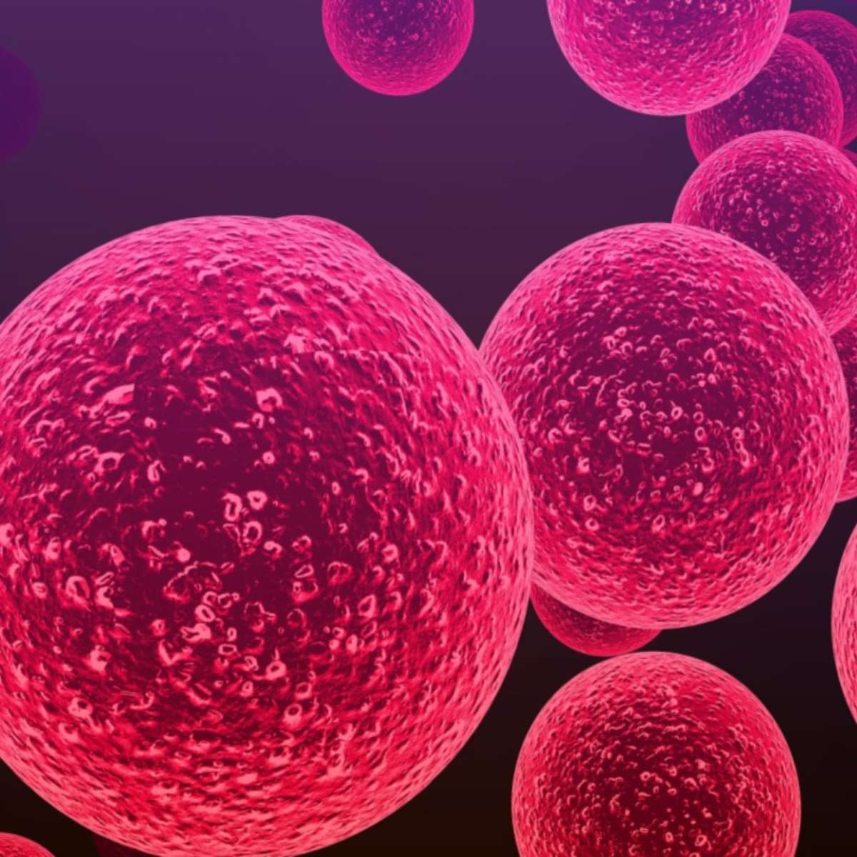 Inglesa quase morre após infecção por bactéria "comedora de carne"