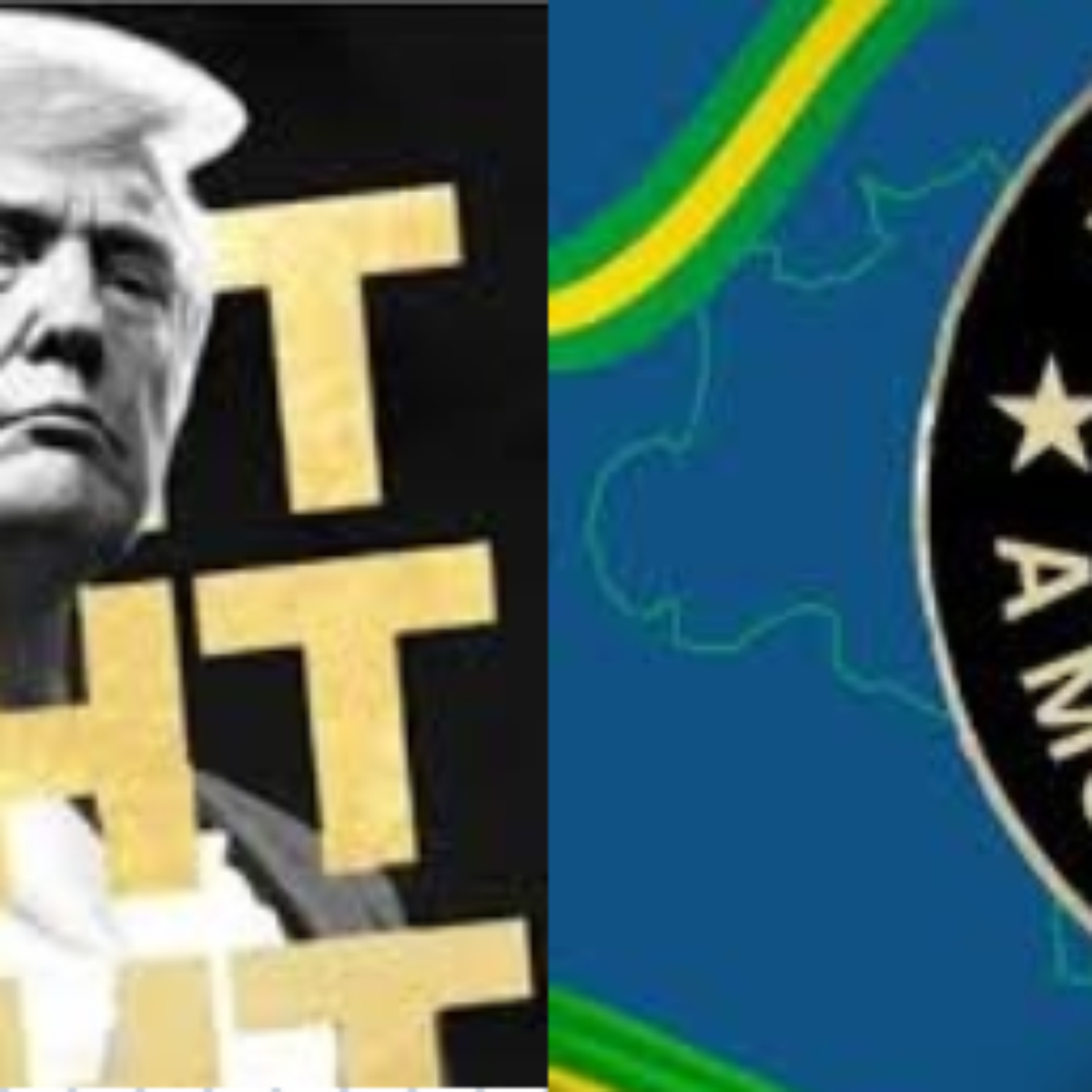 Trump, $Melania e Patriota Coin: entenda o fenômeno das memecoins e se vale  a pena investir nelas