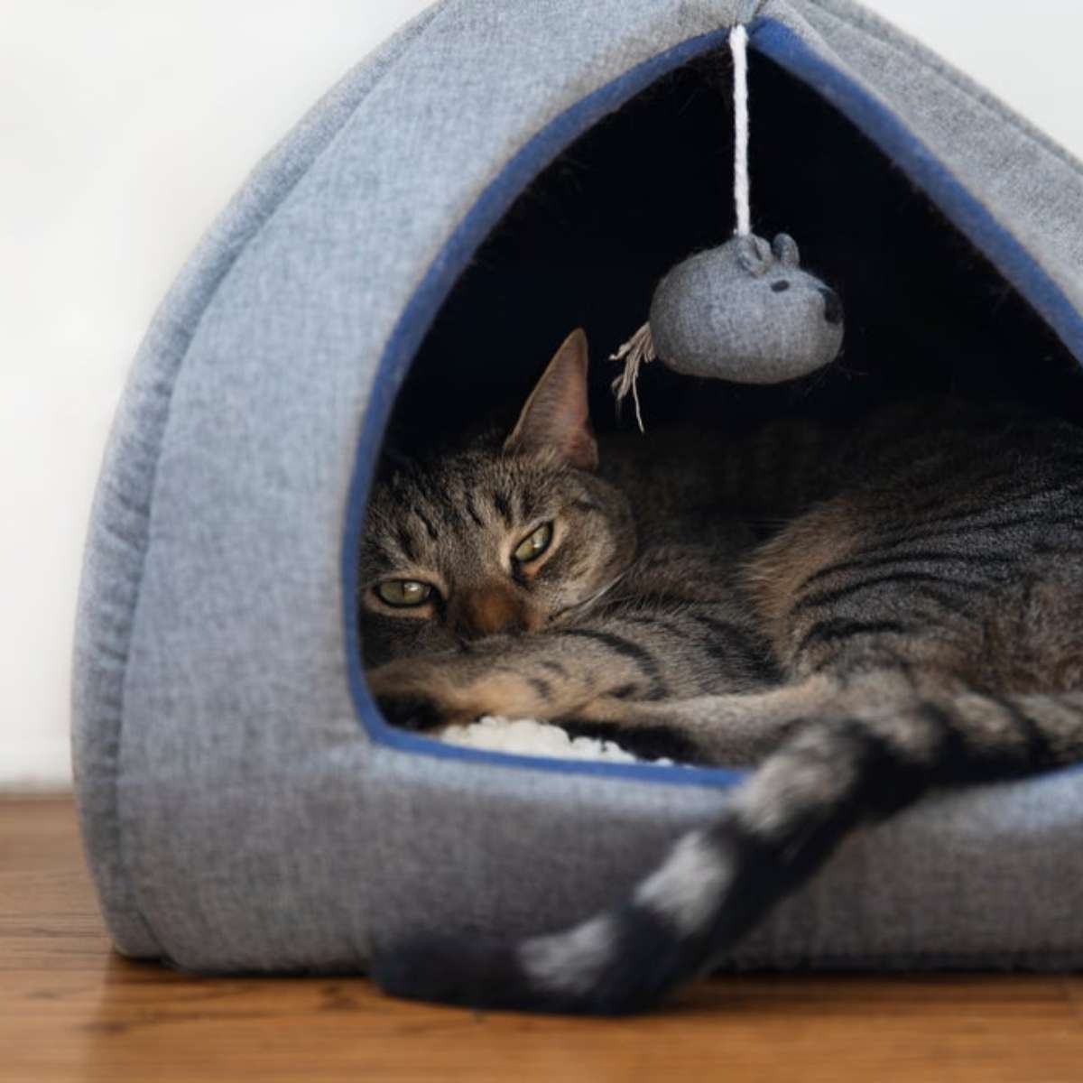 Casa Gato Aquecida MEWTOGO XL - Abrigo Inverno Com Almofada Térmica