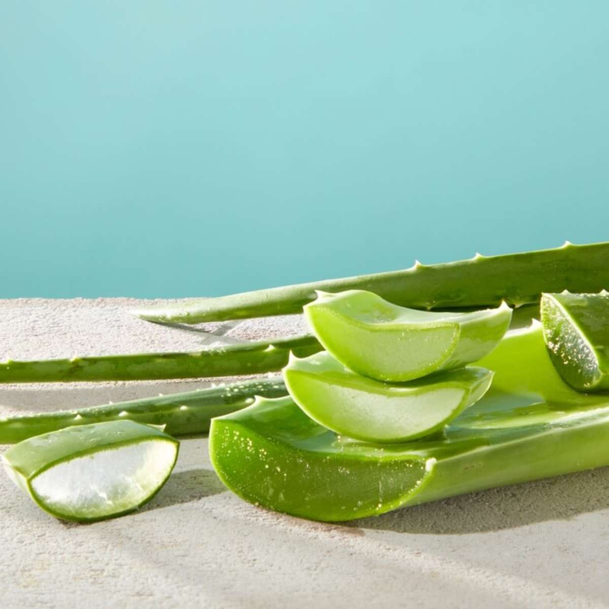 5 benefcios da aloe vera para a pele