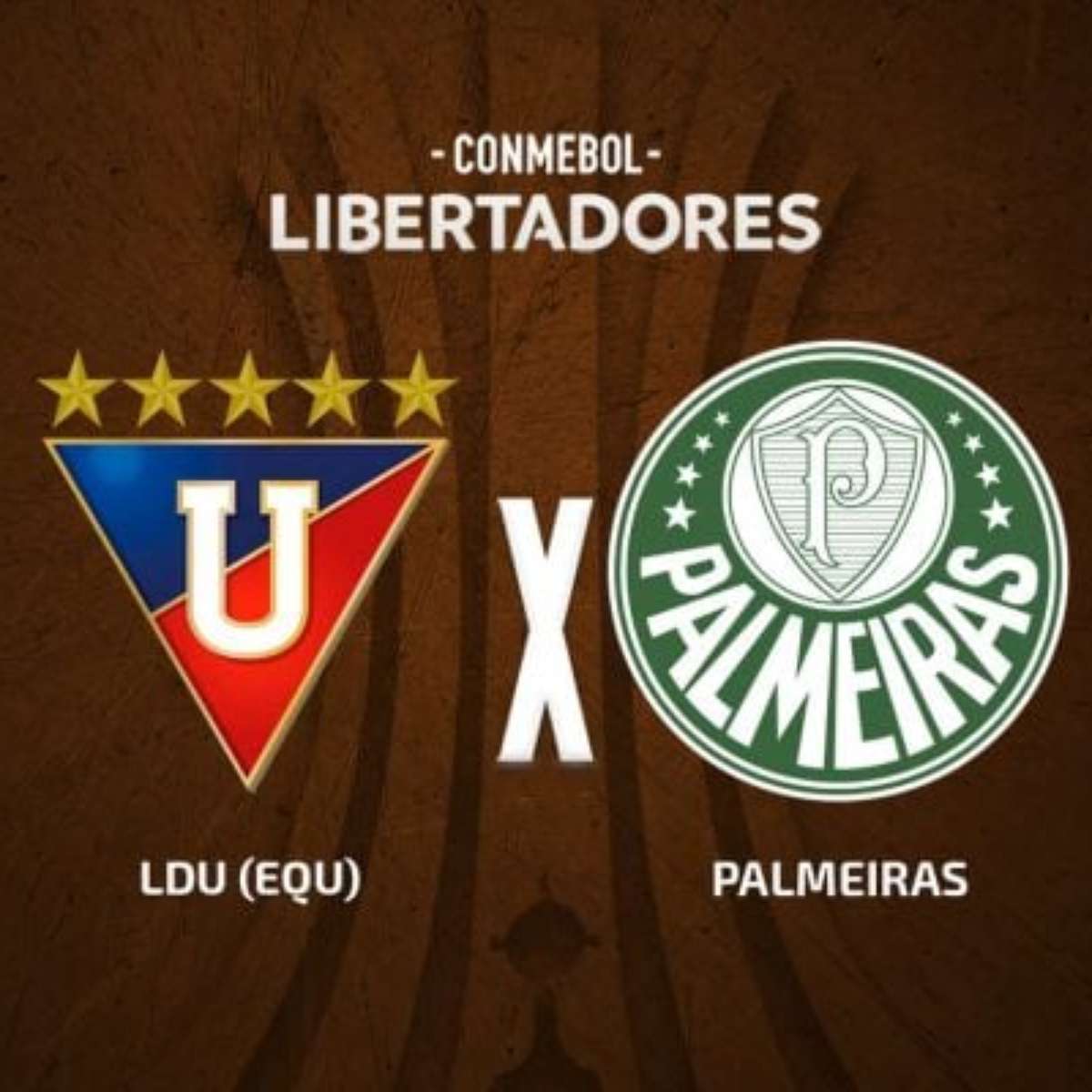 Imagem ilustrativa sobre LDU x Palmeiras: Palmeiras altera estratégia após derrota e já tem duelo ao vivo segunda-feira