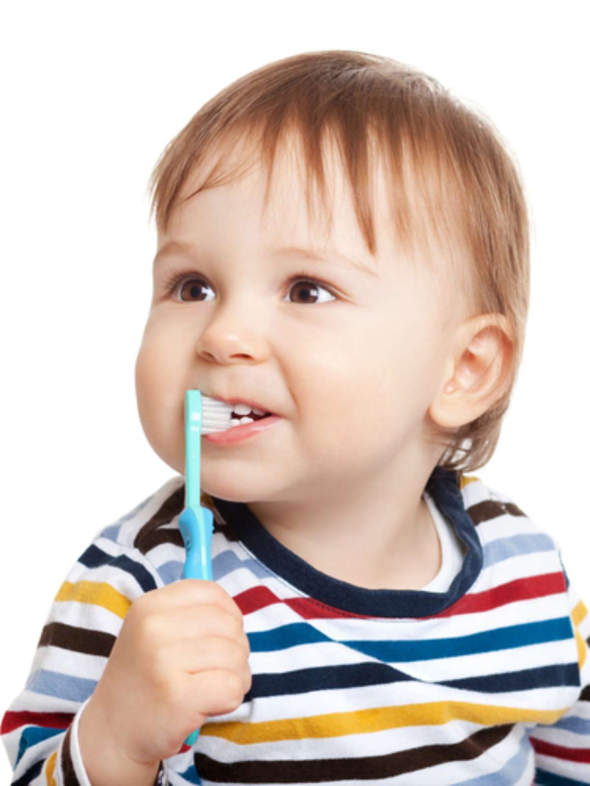 Livro Para Dentista Infantil Dentes Escovação Dentária