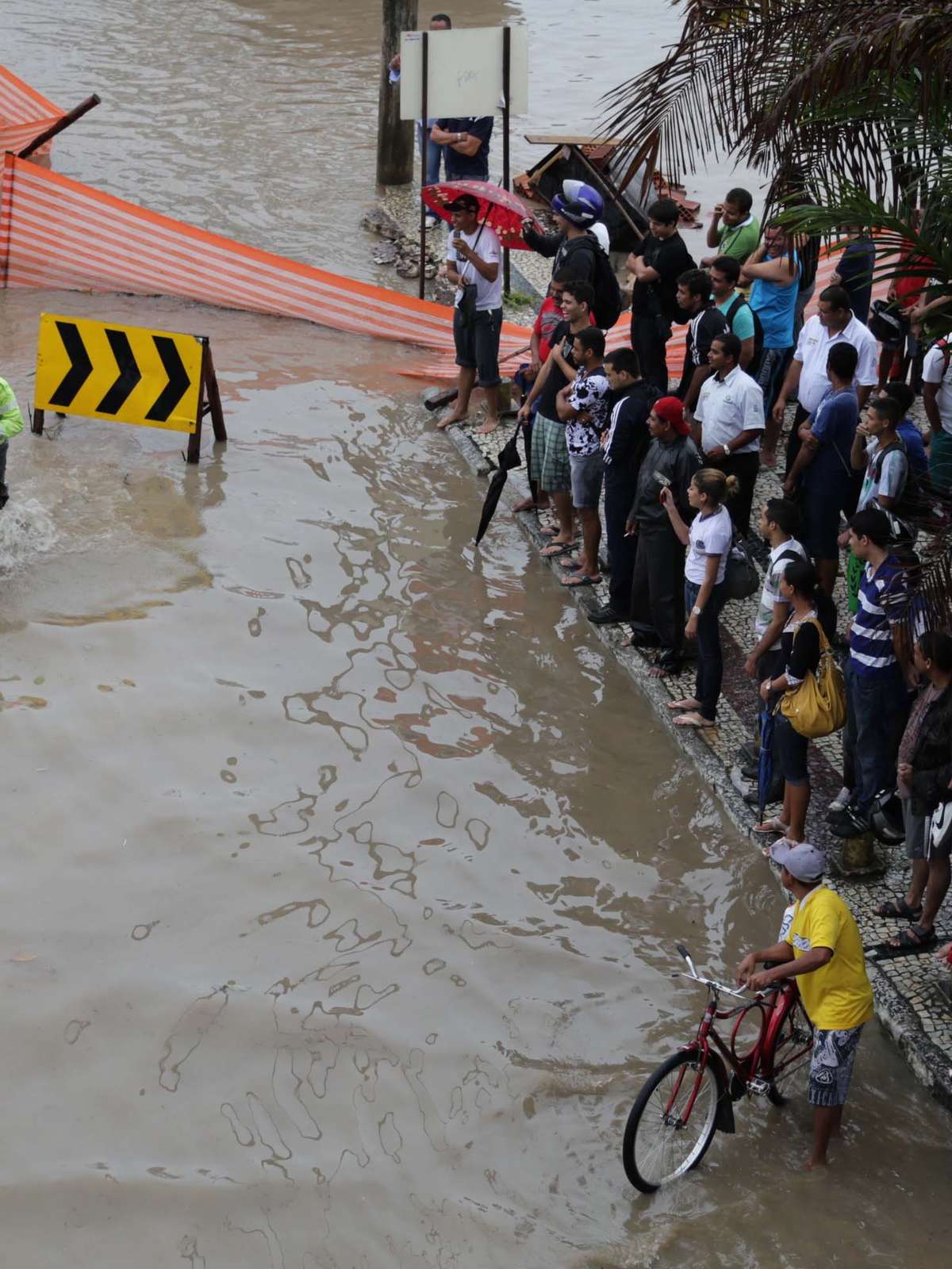 Chuva não atrapalha festa da torcida no Recife com a 2ª vitória do